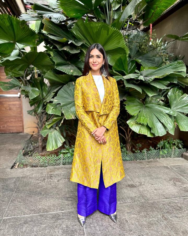 హిందీలో  'జెర్సీ' సినిమాలో నటించింది. (image credit: Mrunal Thakur/Instagram)