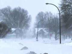 Niagara Falls Frozen: जम गया नियाग्रा फॉल, अमेरिका में बर्फीले तूफान का कहर जारी, देखें तस्वीरें