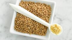 Vastu Tips: এক মুঠো সরষে দিয়ে কেল্লাফতে, মিটবে অর্থনৈতিক সমস্যা