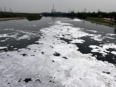 Prepared Action Plan To Control Pollution In Drains That Discharge Effluent In Yamuna: Haryana Govt