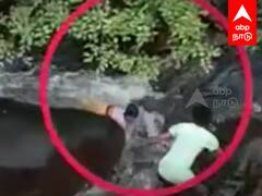 Girl Rescue in Water : அருவியில் அடித்து செல்லப்பட்ட குழந்தை.. துரிதமாய் மீட்ட இளைஞர்..