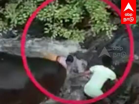 Girl Rescue in Water : அருவியில் அடித்து செல்லப்பட்ட குழந்தை.. துரிதமாய் மீட்ட இளைஞர்..