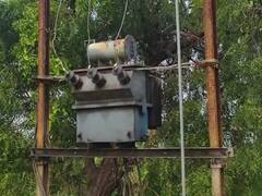 खराब ट्रान्सफॉर्मर बदलून देण्यासाठी शेतकऱ्यांकडे वीज बिल भरण्याची अट, नंदूरबार जिल्ह्यातील रब्बी पीकं धोक्यात  