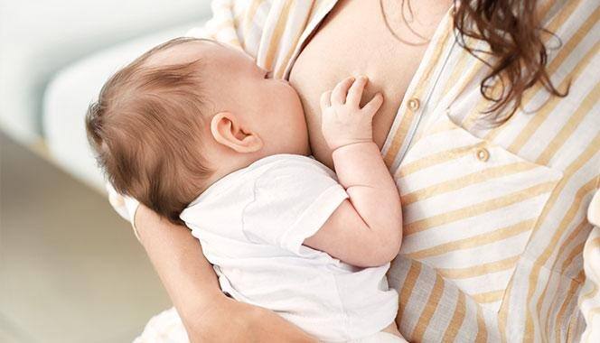 Breastfeeding Mother and Diet: Such should be the diet of breastfeeding women, parents and children will be healthy. Breastfeeding Mother and Diet : ਅਜਿਹੀ ਹੋਣੀ ਚਾਹੀਦੀ ਬ੍ਰੈਸਟਫੀਡ ਕਰਵਾਉਣ ਵਾਲੀਆਂ ਔਰਤਾਂ ਦੀ ਡਾਈਟ, ਜੱਚਾ-ਬੱਚਾ ਰਹਿਣਗੇ ਸਿਹਤਮੰਦ