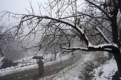 Snowfall in Kashmir: বর্ষশেষে তুষারে ঢাকা কাশ্মীর, খুশির হাওয়া পর্যটক মহলে