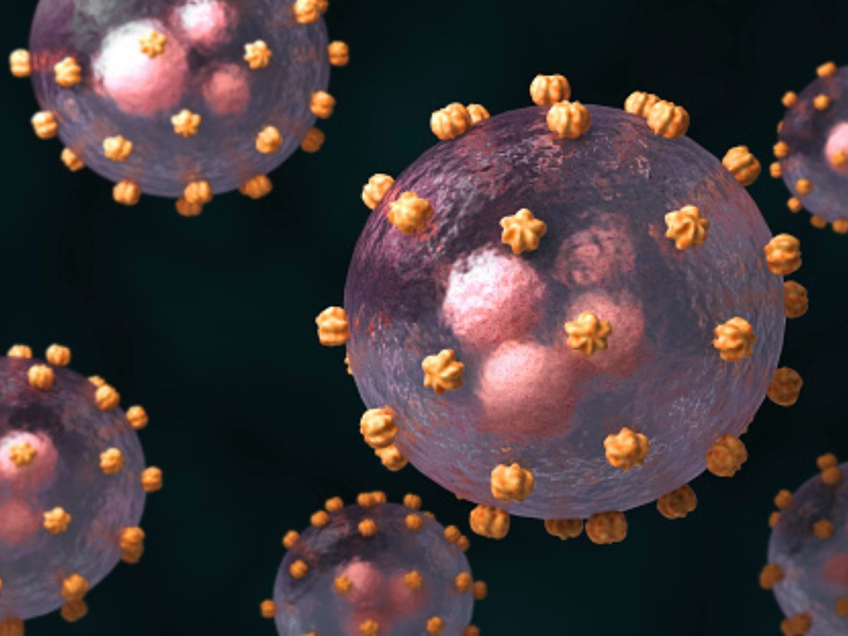 An illustration of Lassa virus (Photo: Getty)