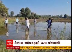 Chhotaudepur : બોડેલીમાં કેનાલ ઓવરફ્લો થતાં ખેતરોમાં ફરી વળ્યા પાણી, જુઓ વીડિયો