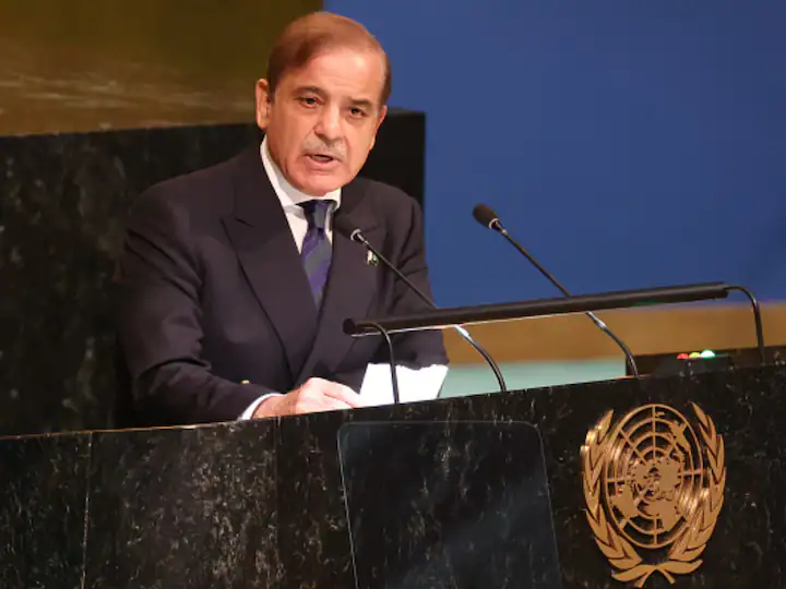 हीरा बा के निधन पर PAK पीएम शहबाज शरीफ ने जताया शोक, जानिए ट्वीट कर पीएम मोदी के लिए क्या लिखा