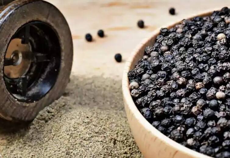 Black Pepper: There are many benefits of small black pepper, by eating one every morning, many diseases are removed Black Pepper : ਛੋਟੀ ਜਿਹੀ ਕਾਲੀ ਮਿਰਚ ਦੇ ਹੁੰਦੇ ਵੱਡੇ-ਵੱਡੇ ਫਾਇਦੇ, ਰੋਜ਼ ਸਵੇਰੇ ਇੱਕ ਖਾਣ ਨਾਲ ਕਈ ਬਿਮਾਰੀਆਂ ਹੁੰਦੀਆਂ ਦੂਰ