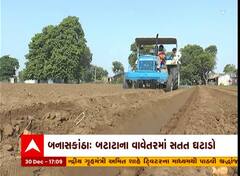 Banaskantha : Deesa માં આ વર્ષે બટેકાના વાવેતરમાં થયો ઘટાડો, જુઓ શું છે કારણ?