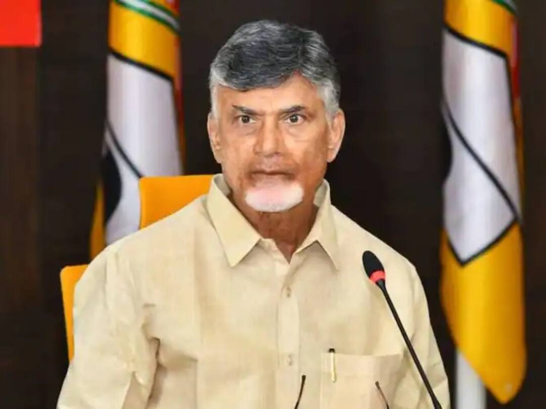 Nellore Kavali TDP Chief Chandrababu open challenge to CM Jagan BCs Welfare Chandrababu : బీసీల సంక్షేమంపై చర్చకు సిద్ధమా? - సీఎం జగన్ కు చంద్రబాబు సవాల్