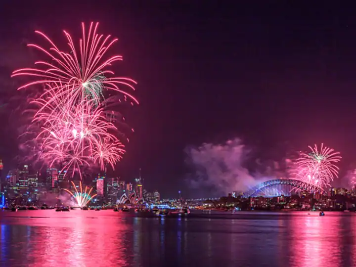 New Year 2023 Celebrations: Know About The Restrictions Imposed In Chennai & Other Districts