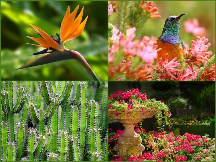 Botanical Garden: கடம்பூரில் ரூ.300 கோடியில் தாவரவியல் பூங்கா அமைக்க அரசு அரசாணை... பயன் என்ன? Goverment orders rupee 300 crore botanical garden to be set up in Kadambur Chengalpattu Botanical Garden: கடம்பூரில் ரூ.300 கோடியில் தாவரவியல் பூங்கா அமைக்க அரசு அரசாணை... பயன் என்ன?