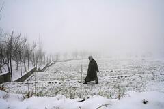 Snowfall in Kashmir: বর্ষশেষে তুষারে ঢাকা কাশ্মীর, খুশির হাওয়া পর্যটক মহলে