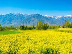 IRCTC Package: बेहद कम पैसों में कश्मीर की खूबसूरत वादियों में घूमे! IRCTC के सस्ते टूर पैकेज में कराएं बुकिंग