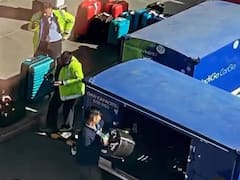 IndiGo Employee Caught 'Throwing' Musical Instrument In Viral Video, Airline Initiates Probe