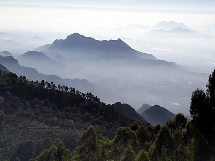 கொடைக்கானலில் போதை காளான்களை தேடி சென்று பறிக்கும் இளைஞர்கள்