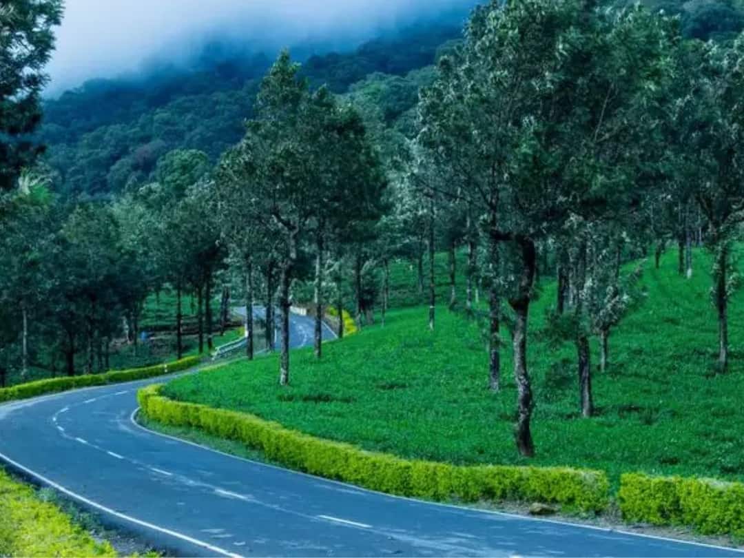 388 villages will be excluded from the sensitive area of the Western Ghats Western Ghat : पश्चिम घाट संवेदनशील क्षेत्रातून 388 गावे वगळणार! रत्नागिरी आणि सिंधुदुर्ग जिल्ह्यातील गावांचा समावेश 