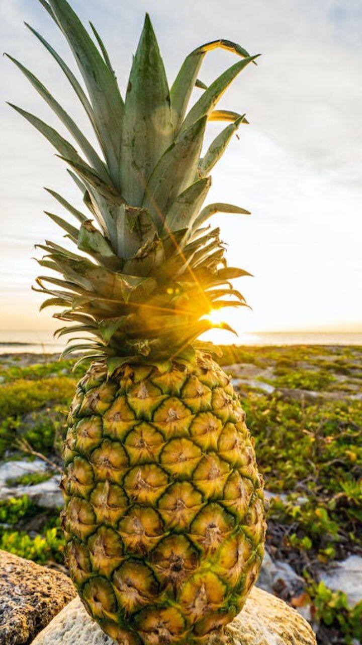 அண்ணாச்சிபழம் சாப்பிட்டால் சளி குறையும்