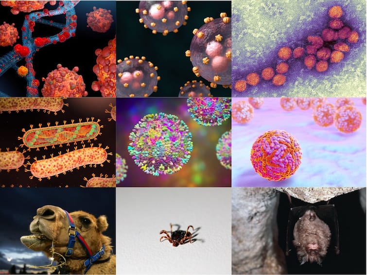 Year Ender 2022: Mpox, Tomato Flu, West Nile Fever — Diseases That Gripped The World