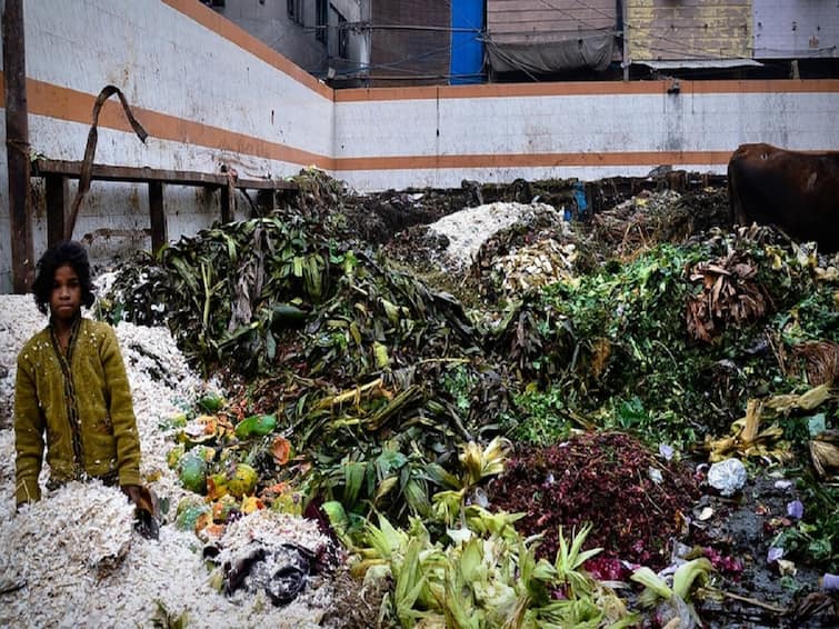 Food wastes World Wide People Waste 1 Billion Tonnes Of Food Each Year shocking Report உலகளவில் உற்பத்தியாகும் உணவு... ஒரே ஆண்டில் மட்டும் இத்தனை பங்கு வீணாகிறதா..? வெளியான அதிர்ச்சி ரிப்போர்ட்...!