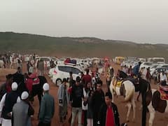 In Pics: गुलाबी थंडी, नवीन वर्षाचा उत्साह, महाबळेश्वर रोषणाईनं सजलं, पर्यटकांची तुफान गर्दी