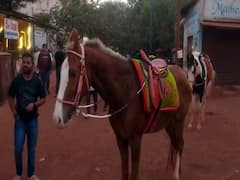 दोन वर्षांनी माथेरान पर्यटकांनी बहरलं, विकेंड आणि थर्टी फर्स्टचा जुळून आला योग, Photos