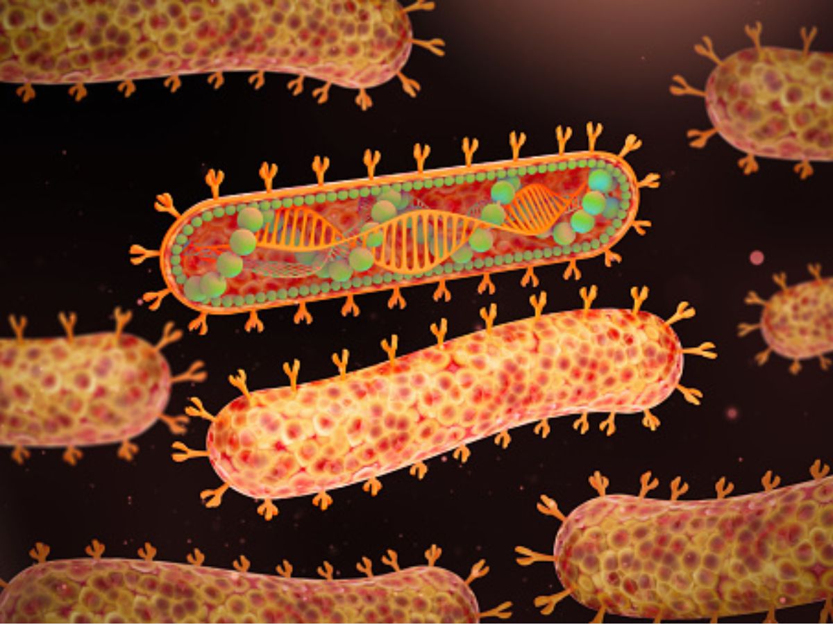 Illustration of Marburg Virus (Photo: Getty)