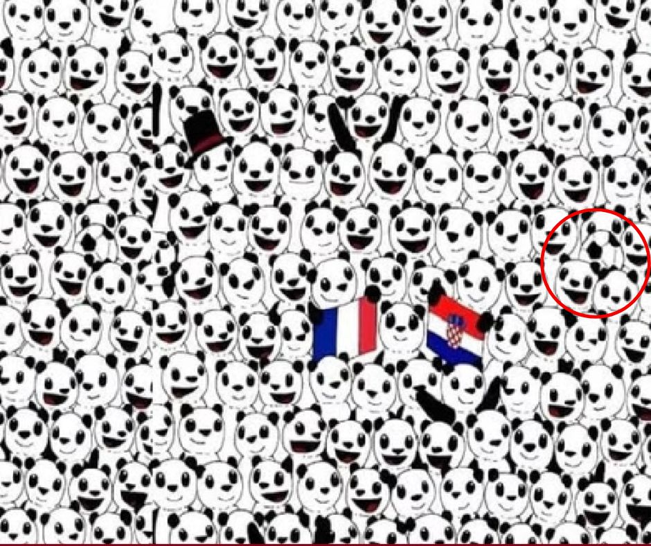 Viral News : 'या' फोटोत पांडामध्ये लपलाय फुटबॉल, तुम्हाला दिसला का? 99 टक्के लोक झाले फेल