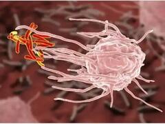 Healthy Lifestyle and Food : ਕੋਰੋਨਾ ਕਾਲ 'ਚ ਰਹਿਣਾ ਹੈ ਤੰਦਰੁਸਤ ਤਾਂ ਇਨ੍ਹਾਂ ਚੀਜ਼ਾਂ ਤੋਂ ਬਣਾ ਲਓ ਦੂਰੀ