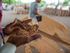 Wheat Exports Rise By 30% To $1.5 Billion For April-November Period: Commerce Ministry