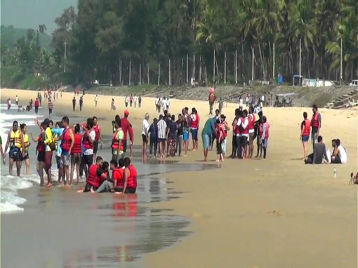 त्यातही डॉल्फिन सफर, कांदळवन सफर आणि विदेशी पक्षांची नजरेची पारणं फेडणारी दृश्य पर्यटकांना आकर्षित करत आहेत.