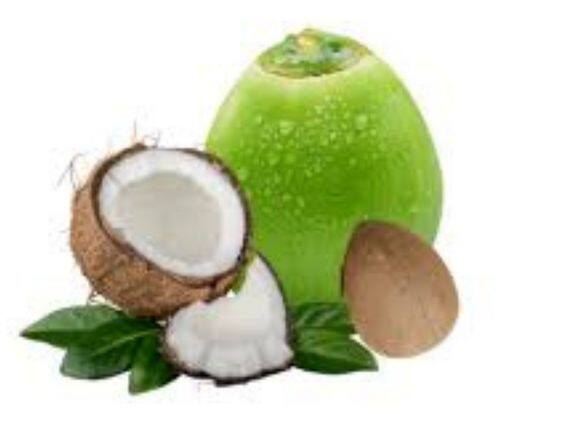 Coconut: Avoid consuming coconut if you have these diseases Coconut: જો તમને છે આ બીમારીઓ તો ટાળો નારિયેળનું સેવન