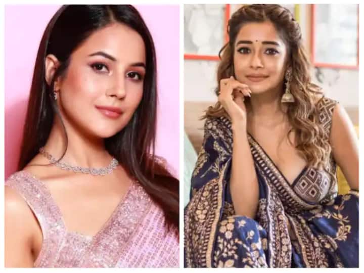 ‘She should be loyal’, when Tina Dutta told Shahnaz it was irritating, Sidnaz’s fans got angry