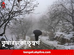বর্ষশেষে তুষারে ঢাকা কাশ্মীর, খুশির হাওয়া পর্যটক মহলে