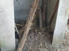 गोंडा: प्रधान ने शौचालय के नाम पर पैसों का किया गबन, न बैठाई टॉयलेट सीट और न ही बना गड्ढा, लोगों में आक्रोश