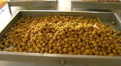 PHOTO : नववर्षाच्या पार्श्वभूमीवर साई संस्थानने तब्बल 9 टन बुंदीच्या लाडूचा प्रसाद बनवला