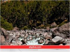 सिर्फ 3% लोग तस्वीर में छिपे भालू को ढूंढ सकते हैं, आपको दिखा..?