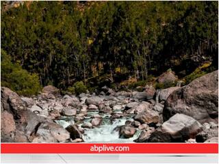 Optical Illusion: सिर्फ 3% लोग तस्वीर में छिपे भालू को ढूंढ सकते हैं, आपको दिखा..?