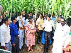 500 கிலோ அரிசியில் 1 கிலோ மட்டுமே செறிவூட்டப்பட்ட அரிசி கலப்பு - ராதாகிருஷ்ணன்