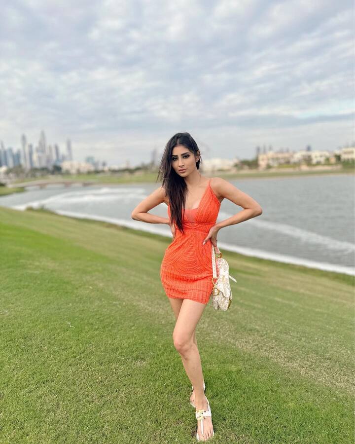 मौनाचे हे फोटो सोशल मीडियावर सध्या व्हायरल होत आहेत.