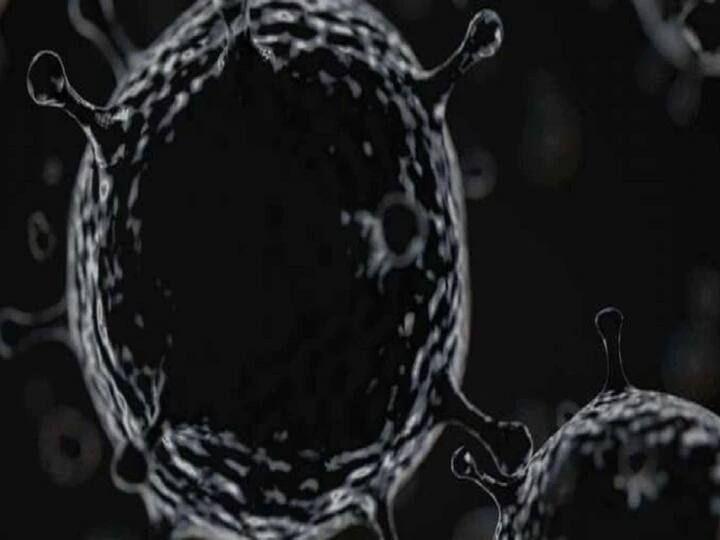 UP Ghaziabad Black And White Fungus Know what is this disease UP: गाजियाबाद में ब्लैक और व्हाइट फंगस का पहला मरीज मिला, जानिए क्या होती है ये बिमारी