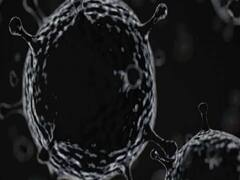 गाजियाबाद में ब्लैक और व्हाइट फंगस का पहला मरीज मिला, जानिए क्या होती है ये बिमारी