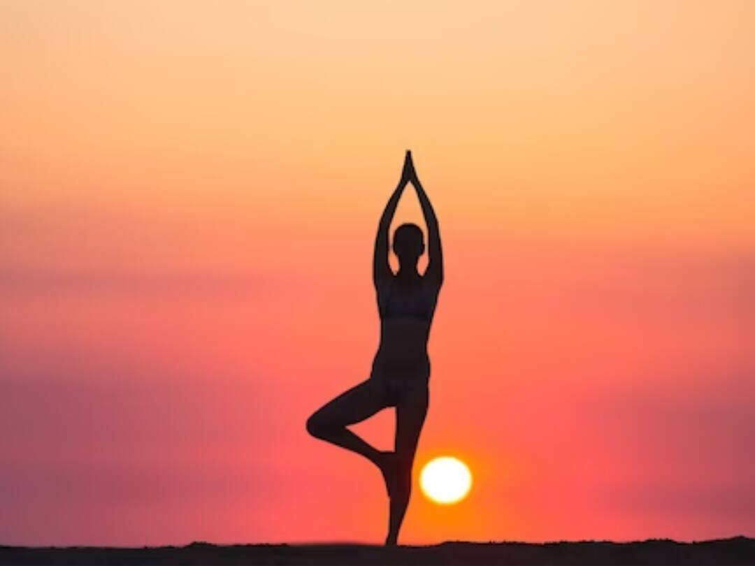 pune university latest news Yoga certificate course will be started in