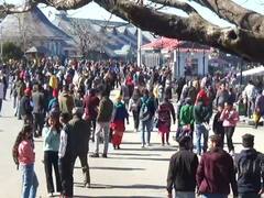 नए साल के जश्न के लिए हिमाचल के शिमला में पर्यटकों की भारी भीड़, चप्पे-चप्पे पर पुलिस जवानों का पहरा