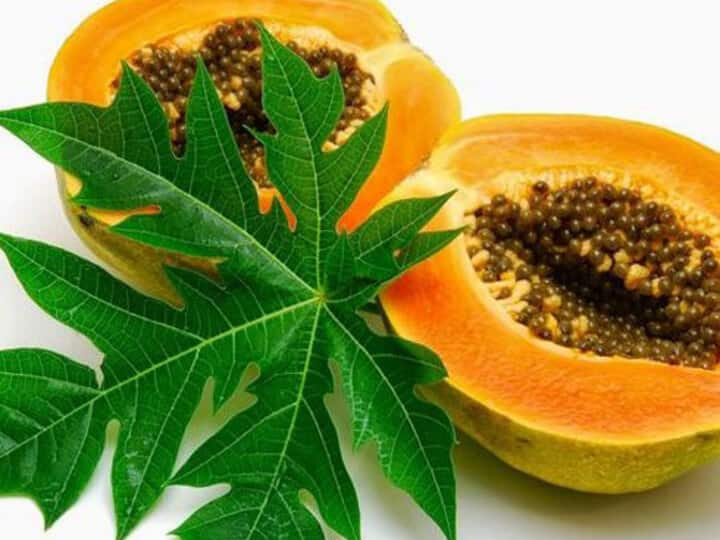 Does eating papaya during pregnancy cause miscarriage know all about it प्रेग्नेंसी में पपीता खाने से क्या गर्भपात हो जाता है? जानिए इसके बारे में सबकुछ