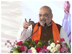 BJP Will Fight Karnataka Assembly Elections Alone And Form Govt Next Year, Says Amit Shah