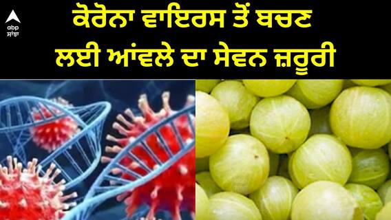 Corona Virus Update । ਕੋਰੋਨਾ ਵਾਇਰਸ ਤੋਂ ਬਚਣ ਲਈ ਆਂਵਲੇ ਦਾ ਕਰੋ ਸੇਵਨ