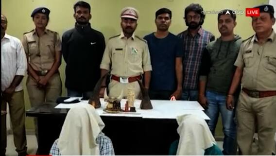 વડોદરાઃ ગેંડાના શિંગડામાંથી બનાવાયેલી કલાકૃતિઓ સાથે બેને વનવિભાગે ઝડપ્યા, જુઓ વીડિયો