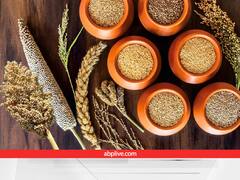International Year of Millets 2023: मोटे अनाज को लेकर सरकार का बड़ा प्लान, जानिए क्या नया होने वाला है